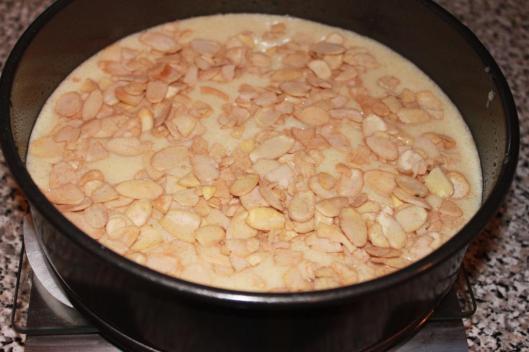 then mix together the flaked almonds and cinnamon and sprinkle them over the top of the cake