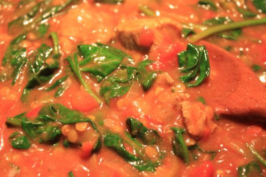 Lentil, Spinach and Turkey Curry