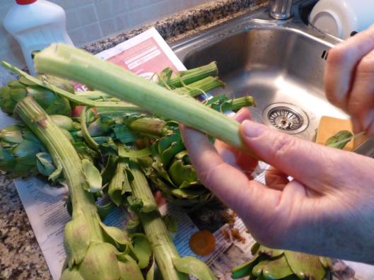 Then clean the outer hard bıt of artichoke flower stalks and cut them small pieces and add ın the cooking pan