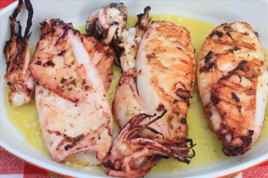 Mediterranean Style Marinated Squid, Lamb, Chicken wings  and Turkey Bbq (10)