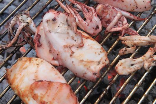 Mediterranean Style Marinated Squid, Lamb, Chicken wings  and Turkey Bbq (6)
