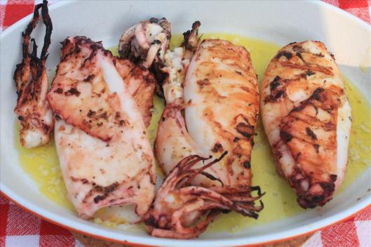 Mediterranean Style Marinated Squid, Lamb, Chicken wings  and Turkey Bbq (7)